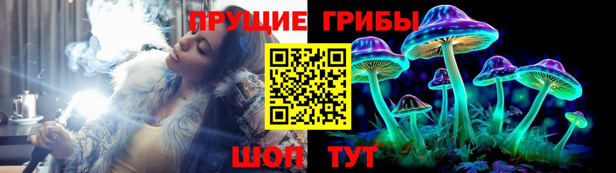 Галлюциногенные грибы Psilocybe  Вход с VPN  хочу наркоту  Шарыпово 